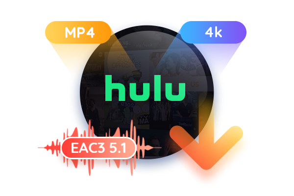 Downloadet Hulu Videos als MP4
