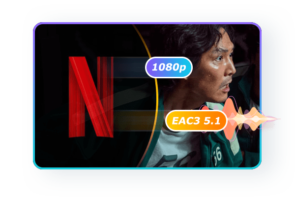 PlayerFab Netflix Player