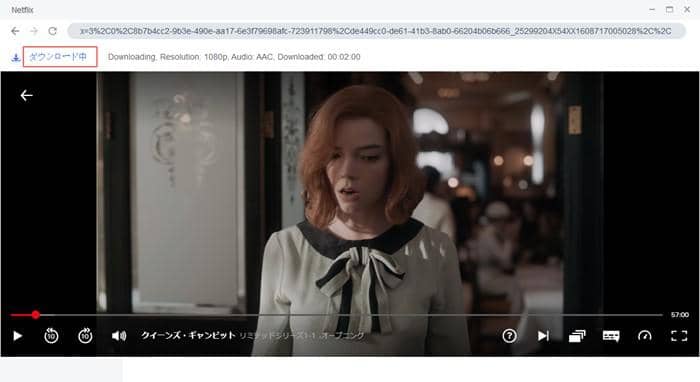 netflix ダウンロード
