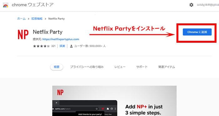 netflix party