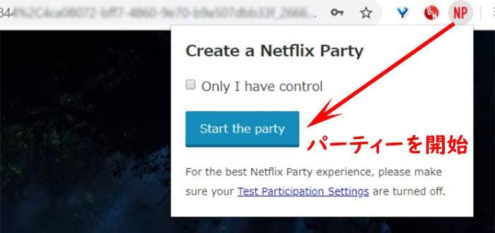 netflix party