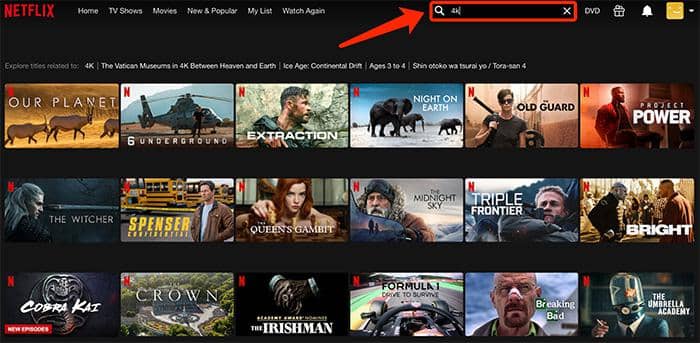 can 4k video downloader download movies from netflix