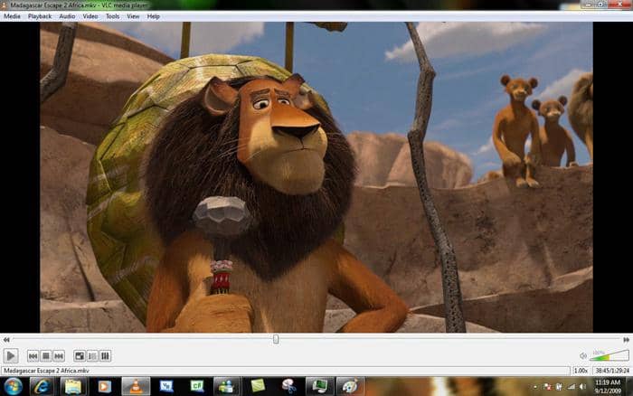 VLC media player which can play any ripped or converted files