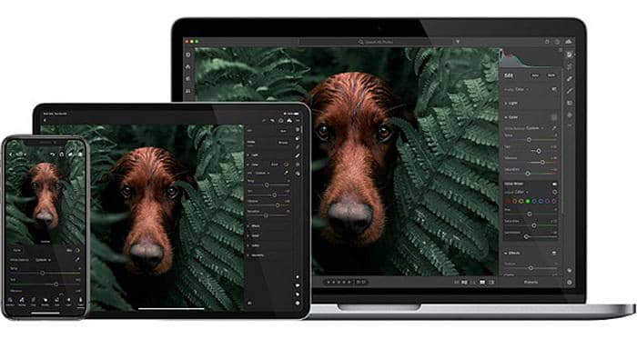 Best Photo Editor Online for Adobe Buffs