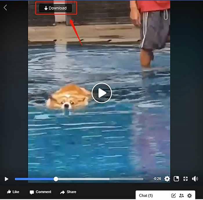 facebook video downloaden:Teil 3: Wie laden Sie Facebook Videos herunter?