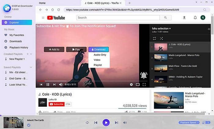 youtube video download kostenlos:Extra Tipp: Eine YouTube Playliste downloaden