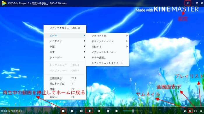 Mkv 再生 Pc