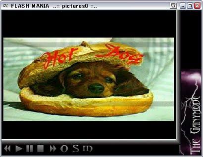 4つの方法でswfファイルを再生