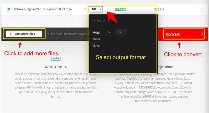 Free MP4 to GIF Converters: How to Convert MP4 Files to Attractive Animated  GIFs