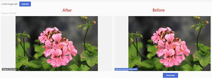 Upscale Image:1. Smart Upscaler - Upscale Image Online